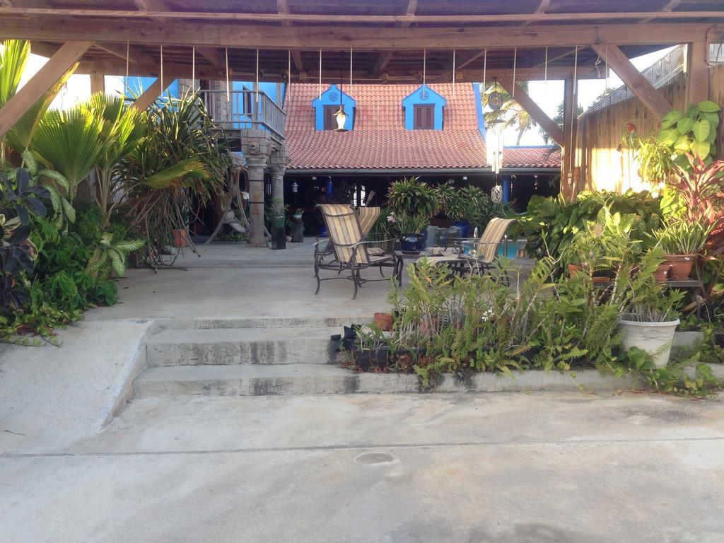 De Cuba Bed & Breakfast Noord Exterior photo