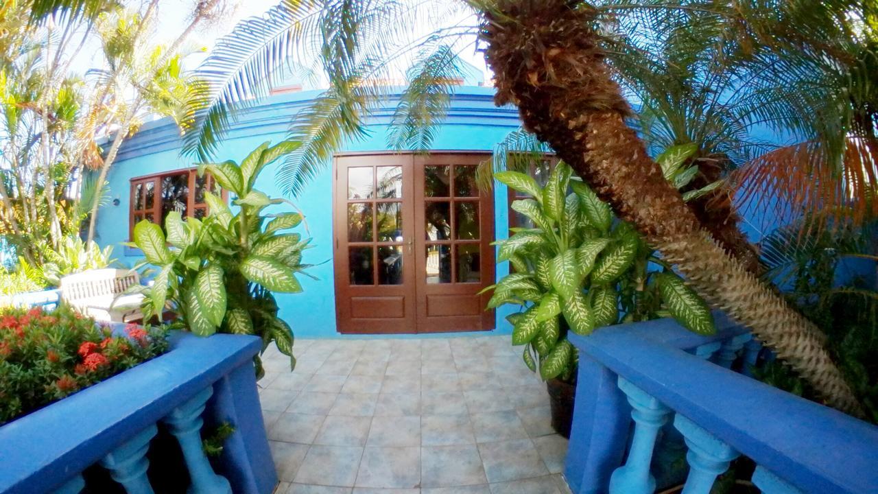 De Cuba Bed & Breakfast Noord Exterior photo